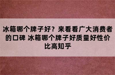 冰箱哪个牌子好？来看看广大消费者的口碑 冰箱哪个牌子好质量好性价比高知乎